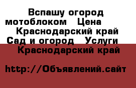 Вспашу огород мотоблоком › Цена ­ 500 - Краснодарский край Сад и огород » Услуги   . Краснодарский край